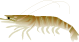 蝦